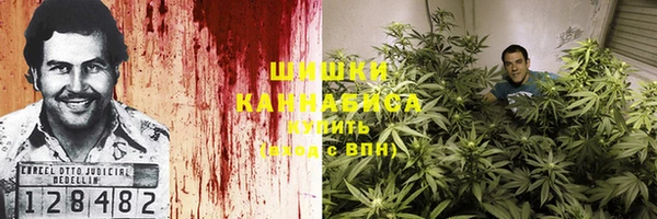 ECSTASY Вяземский