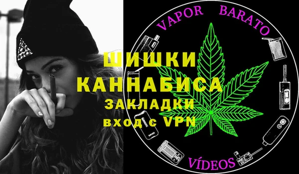 ECSTASY Вяземский