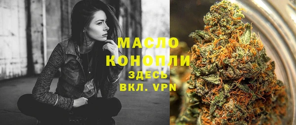 ECSTASY Вяземский