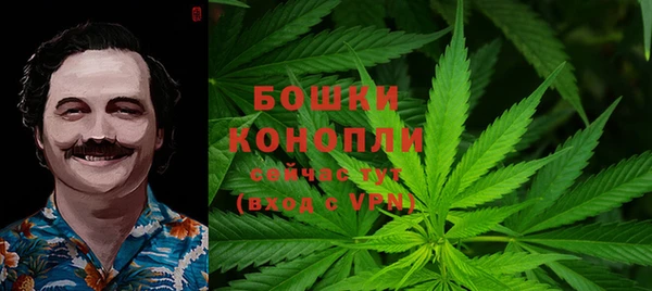 спиды Вязьма