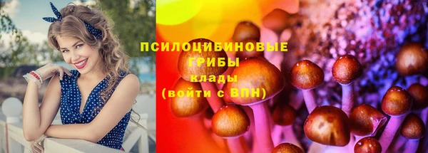 ECSTASY Вяземский